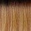 DR2/Honey Brown