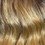 DR4/Toffee Blonde