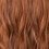 Ginger Auburn