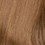 Light Ash Brown 1
