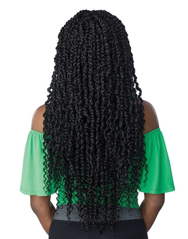 Cloud 9 Braided Lace Wig - 4x4 Passion Twist - Image 3