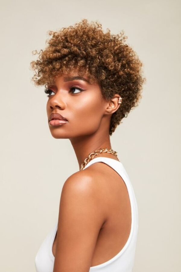 Feme Afro Lace Wig - Soft Natural Curl - Image 4