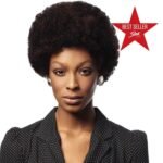 Sleek AFRO wig